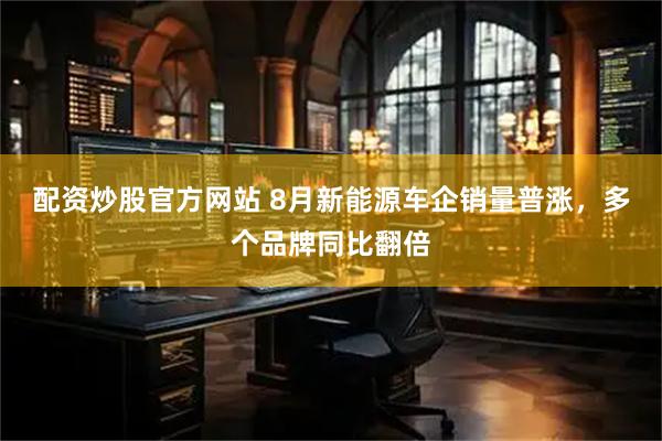 配资炒股官方网站 8月新能源车企销量普涨，多个品牌同比翻倍